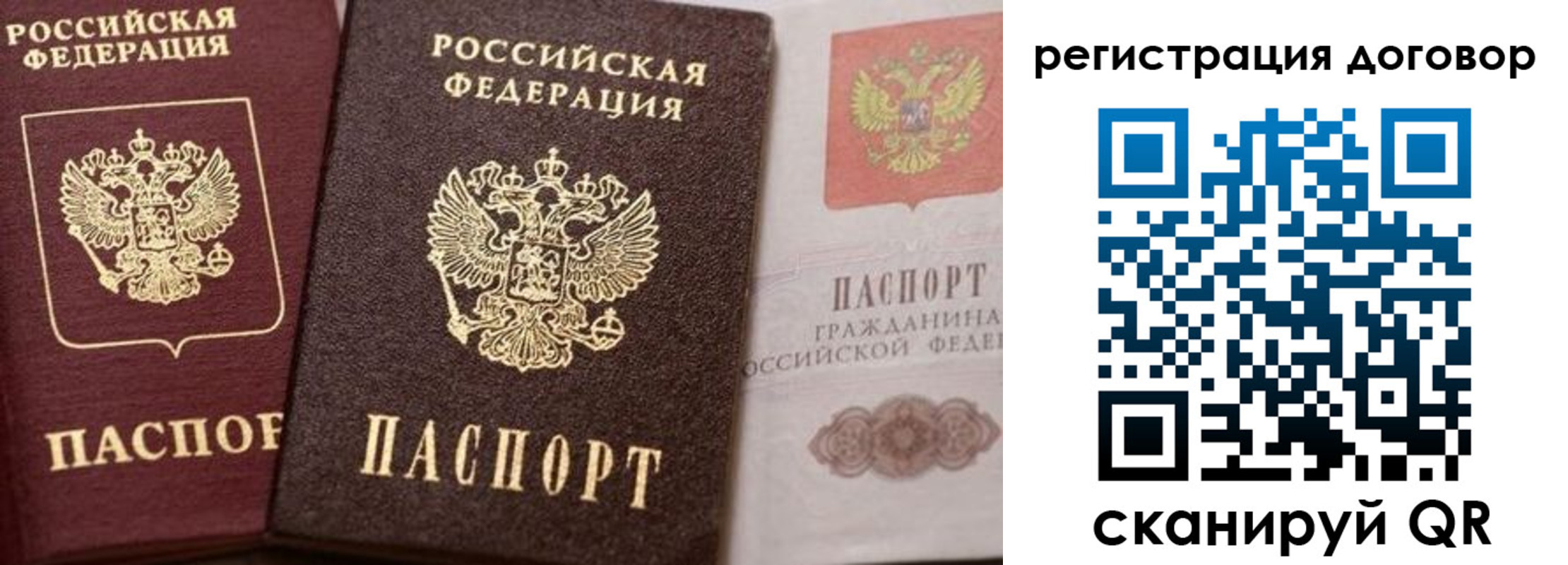 прописка 2025 в Гусеве